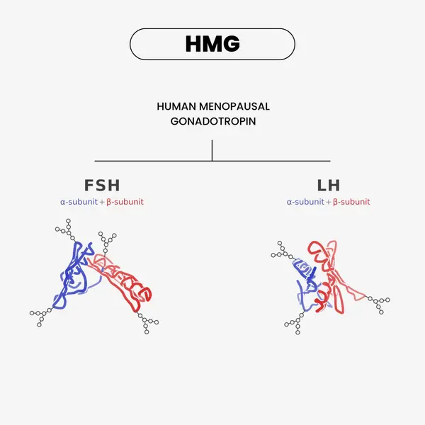 hMG 75 IU Menotropins — chemical structure
