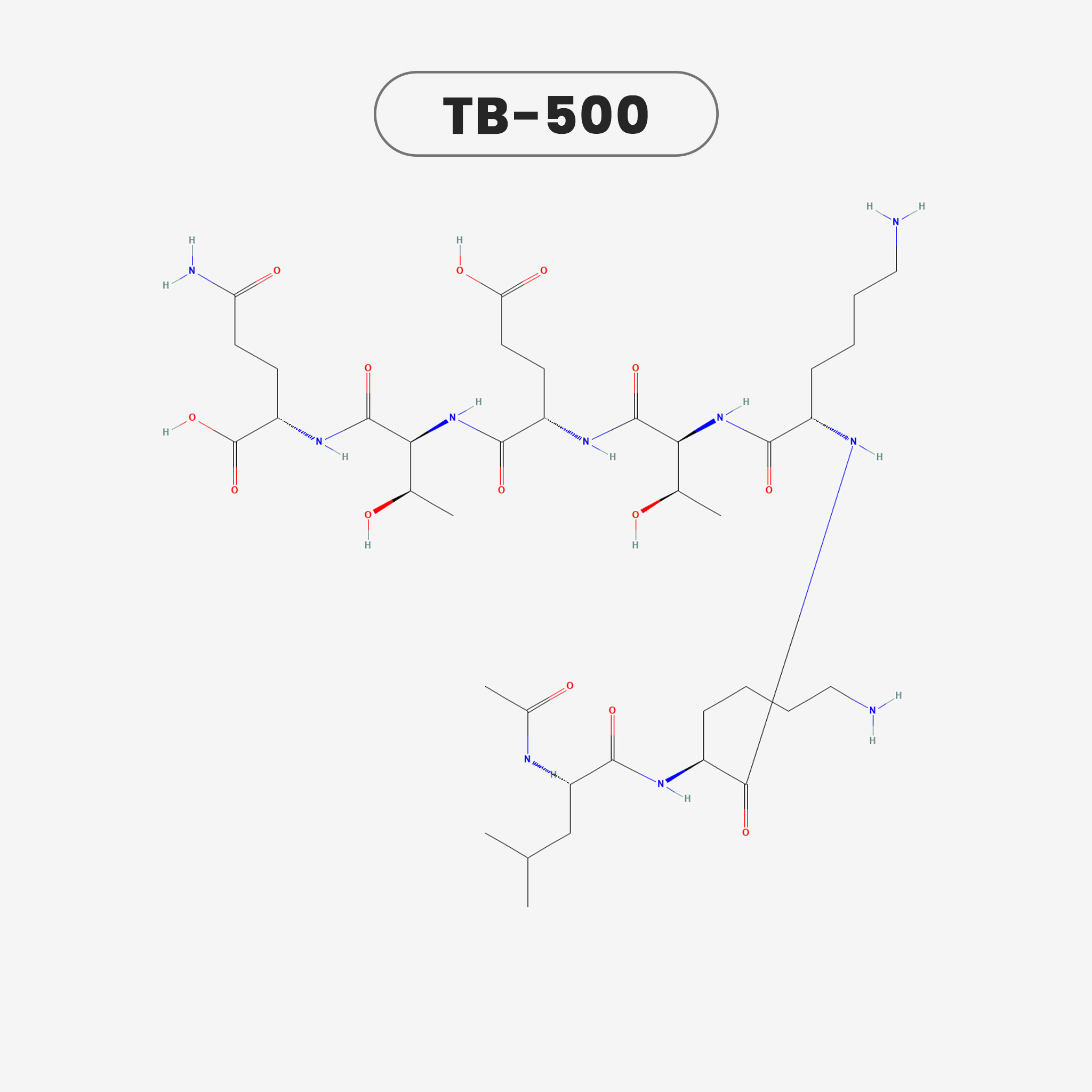 TB-500 view 2